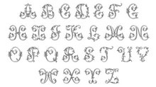 Load image into Gallery viewer, Linen Wreath/Basket Sash - Chinoiserie Bird Branch with Monogram
